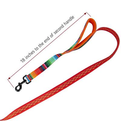 Show full view: Leash Boss Two Handle Dog Leash, 6-ft long, Orange slide 5 of 7