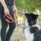 Show in main carousel: Leash Boss Two Handle Dog Leash, 6-ft long, Orange slide 6 of 7