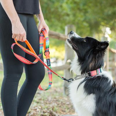 Show full view: Leash Boss Two Handle Dog Leash, 6-ft long, Orange slide 6 of 7