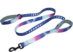 Leash Boss Two Handle Dog Leash, 6-ft long, Purple/Pink