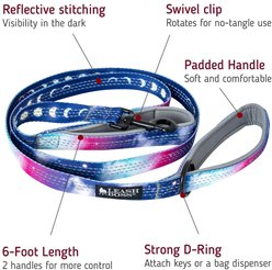 Leash Boss Two Handle Dog Leash, 6-ft long, Purple/Pink slide 2 of 6