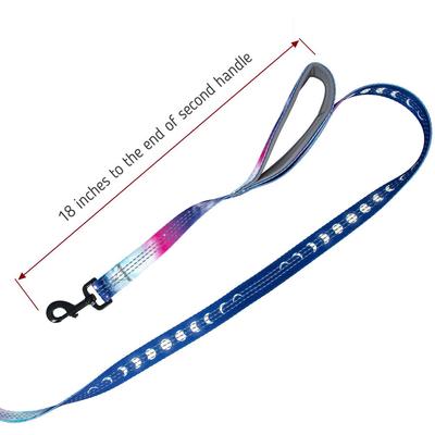 Show full view: Leash Boss Two Handle Dog Leash, 6-ft long, Purple/Pink slide 5 of 7