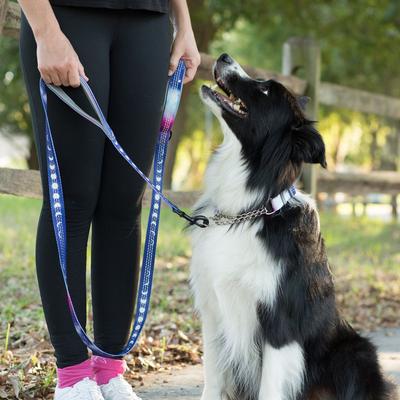 Show full view: Leash Boss Two Handle Dog Leash, 6-ft long, Purple/Pink slide 6 of 7