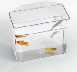 Lee's Aquarium & Pets Break Resistant Specimen Container, Large