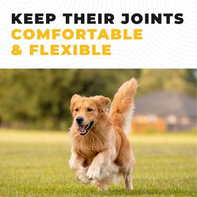 Show full view: Left Coast Performance Chicken Bone Broth Powder Supplement for Dogs & Cats, 8-oz jar slide 7 of 10