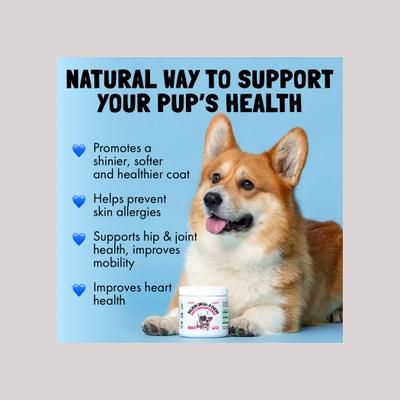 Show full view: Legitpet Alaskan Salmon Oil Omega-3 Soft Chew Skin & Coat Supplement for Dogs, 120 count slide 4 of 11