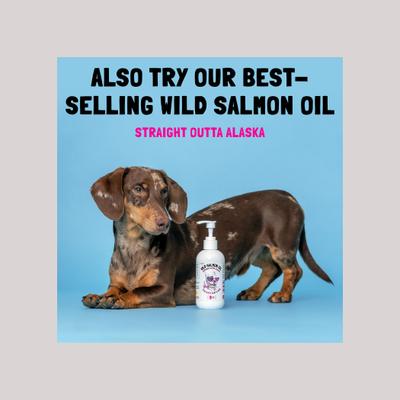 Show full view: Legitpet Alaskan Salmon Oil Omega-3 Soft Chew Skin & Coat Supplement for Dogs, 30 count slide 10 of 11