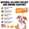 Show in main carousel: Legitpet Allergy & Immune Support Chicken Flavored Chew Supplement for Adult Dogs, 30 count slide 3 of 10