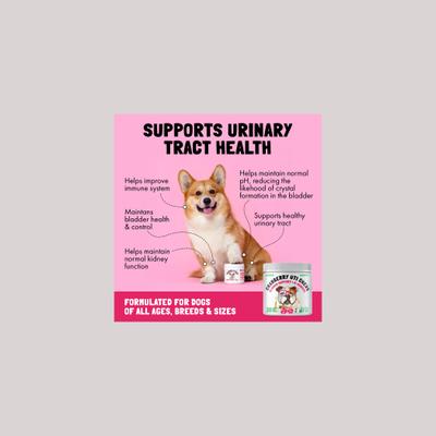 Show full view: Legitpet Cranberry UTI Soft Chew Bladder Support Supplement for Dogs, 30 count slide 4 of 10