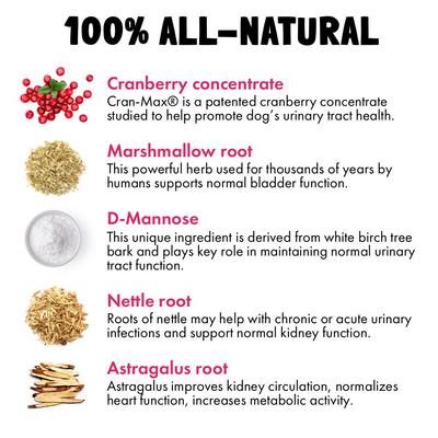 Show full view: Legitpet Cranberry UTI Soft Chew Bladder Support Supplement for Dogs, 30 count slide 6 of 10