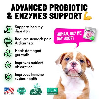 Show full view: Legitpet Natural Digestive Enzymes Chicken Flavored Chews Probiotic Supplement for Adult Dogs, 30 count slide 3 of 9