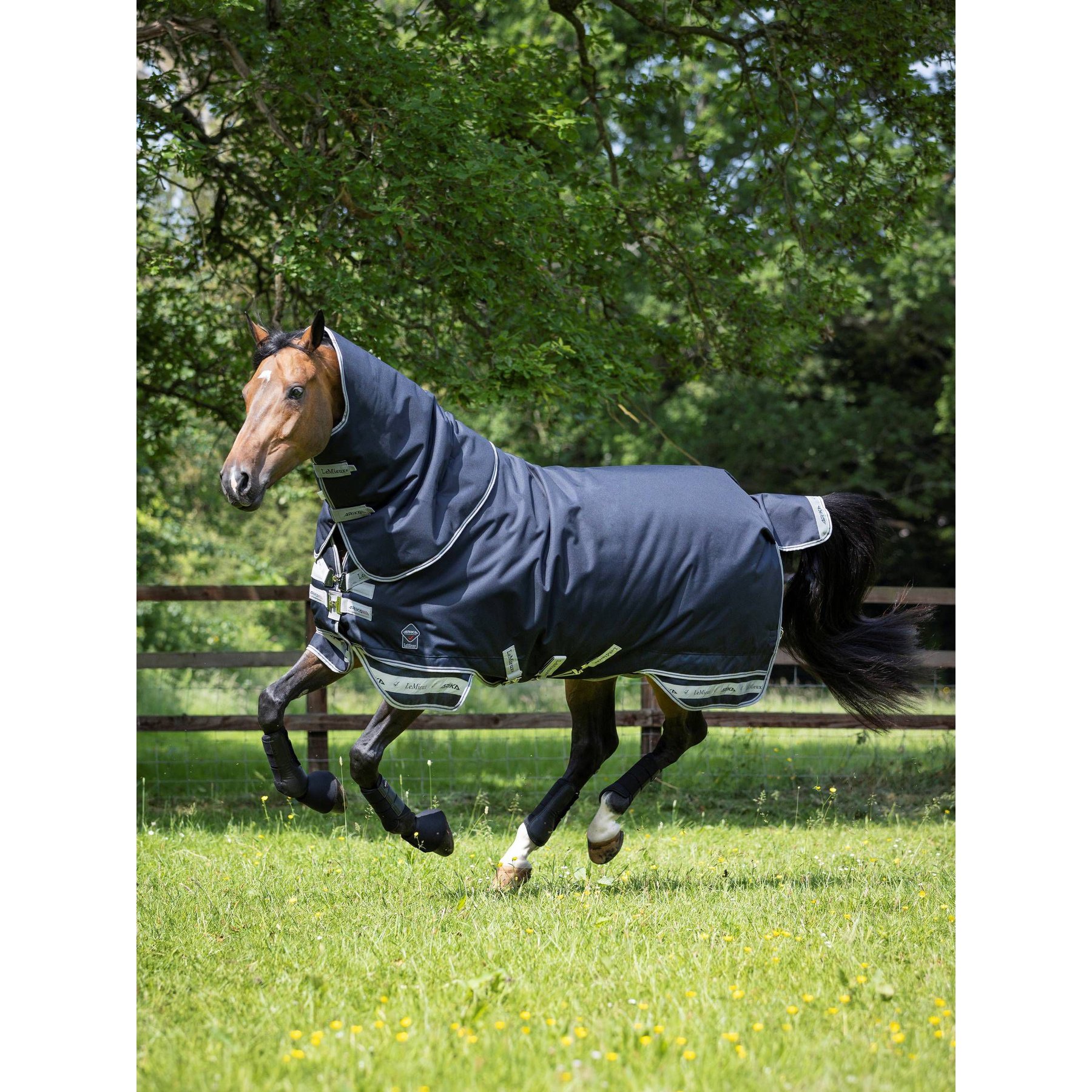 LeMieux Arika Storm-Tek 200g Horse Rug, Navy, 72-in