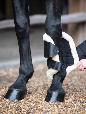 Show full view: LeMieux Fleece Edged Mesh Brushing Horse Boot, Natural, Medium slide 2 of 5