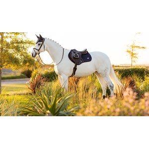 LeMieux Loire Classic Close Contact Square Saddle Pads, Large, Navy