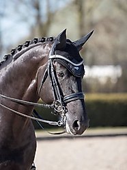 LeMieux Loire Horse Fly Hood, Black, Large slide 2 of 2