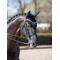 Show in main carousel: LeMieux Loire Horse Fly Hood, Black, X-Large slide 2 of 2