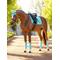 Show in main carousel: LeMieux Loire Polo Horse Bandages, Large, Azure slide 2 of 2