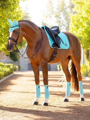 Show full view: LeMieux Loire Polo Horse Bandages, Large, Azure slide 2 of 2