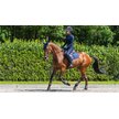 LeMieux Suede Close Contact Saddle Pad - Navy Square Cut For Jumping Saddles, Large