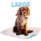 Show in main carousel: Lennypads Ultra Absorbent Washable Dog Pee Pads, White, Unscented, Large: 23 x 27-in, 2 count slide 2 of 9