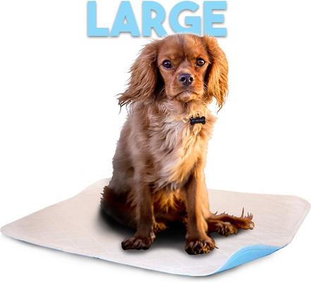 Show full view: Lennypads Ultra Absorbent Washable Dog Pee Pads, White, Unscented, Large: 23 x 27-in, 2 count slide 2 of 9