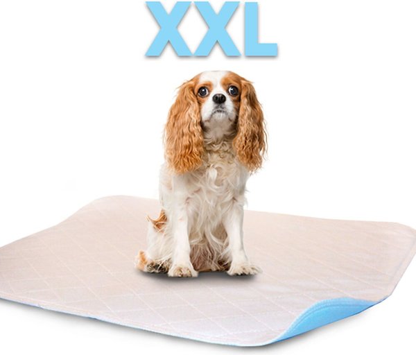 Show full view: Lennypads Ultra Absorbent Washable Dog Pee Pads, White, XX-Large: 36 x 36-in, 1 count, Unscented slide 2 of 9