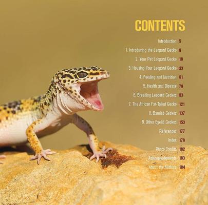 Show full view: Leopard Gecko Manual slide 2 of 7