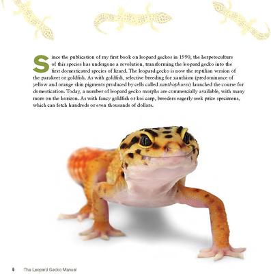 Show full view: Leopard Gecko Manual slide 5 of 7