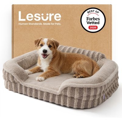 Lesure Lesure High-Back Orthopedic Dog & Cat Sofa Bed, Camel, Medium