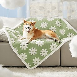 Lesure Waterproof Calming Double-Sided Jacquard Shag & Soft Sherpa Fleece Furniture Protector Dog & Cat Blanket, Green, Large slide 2 of 6