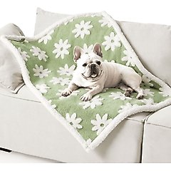 Lesure Waterproof Calming Double-Sided Jacquard Shag & Soft Sherpa Fleece Furniture Protector Dog & Cat Blanket, Green, Medium