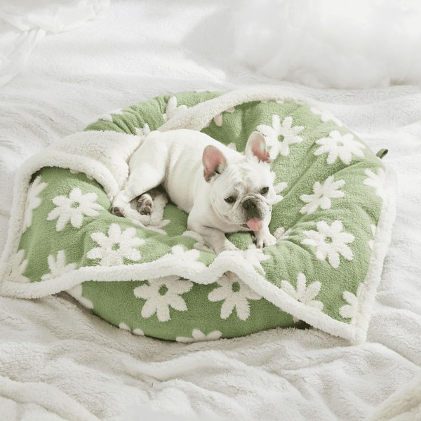 Show full view: Lesure Waterproof Calming Double-Sided Jacquard Shag & Soft Sherpa Fleece Furniture Protector Dog & Cat Blanket, Green, Medium slide 4 of 8