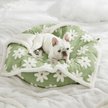 Show in main carousel: Lesure Waterproof Calming Double-Sided Jacquard Shag & Soft Sherpa Fleece Furniture Protector Dog & Cat Blanket, Green, Medium slide 4 of 8