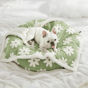 Lesure Waterproof Calming Double-Sided Jacquard Shag & Soft Sherpa Fleece Furniture Protector Dog & Cat Blanket, Green, Medium