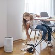 Show in main carousel: LEVOIT Core P350-P Pet Care Air Purifier slide 4 of 7