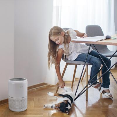 Show full view: LEVOIT Core P350-P Pet Care Air Purifier slide 4 of 7