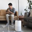 Show in main carousel: LEVOIT Core P350-P Pet Care Air Purifier slide 5 of 7