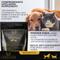 Show in main carousel: Lexelium Ageing Support Dog & Cat Supplement, 7-oz bag slide 3 of 8