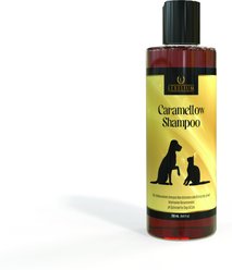 Lexelium Anti-Itch Dog & Cat Shampoo, 250-ml bottle