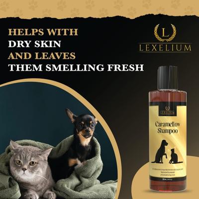 Show full view: Lexelium Anti-Itch Dog & Cat Shampoo, 250-ml bottle slide 4 of 7