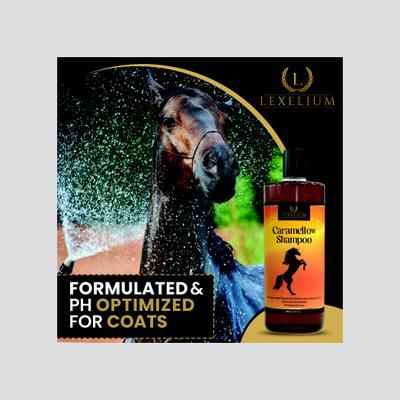 Show full view: Lexelium Caramellow Horse Shampoo, 1-L slide 3 of 6