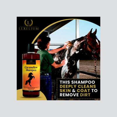 Show full view: Lexelium Caramellow Horse Shampoo, 1-L slide 4 of 6