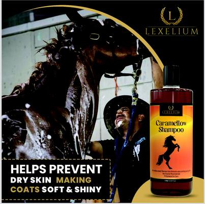 Show full view: Lexelium Caramellow Horse Shampoo, 1-L slide 6 of 6