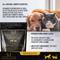 Show in main carousel: Lexelium Growth Boosting System Dog & Cat Supplement, 7-oz bag slide 3 of 9