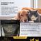 Show in main carousel: Lexelium Heart Support System Dog & Cat Supplement, 7-oz bag slide 3 of 8