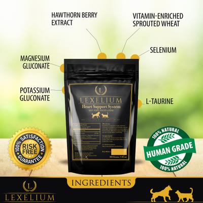 Show full view: Lexelium Heart Support System Dog & Cat Supplement, 7-oz bag slide 4 of 8