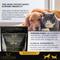 Show in main carousel: Lexelium Hip & Joint Support Dog & Cat Supplement, 7-oz bag slide 3 of 8