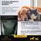 Show in main carousel: Lexelium Prebiotic & Digestion Support Dog & Cat Supplement, 7-oz bag slide 3 of 8