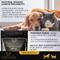 Show in main carousel: Lexelium Weight Management Dog & Cat Supplement, 7-oz bag slide 3 of 9