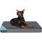 Show in main carousel: LFC PETS Orthopedic Memory Foam Dog & Cat Bed with Removable Cover, Grey, XX-Large slide 1 of 9